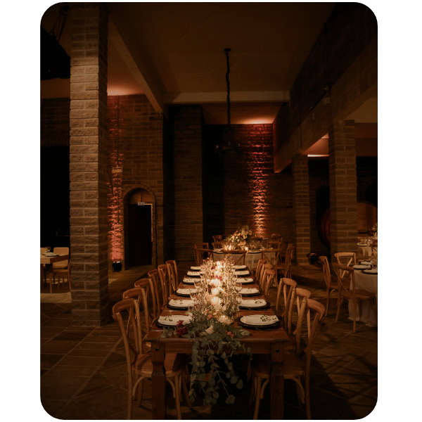 Menús gourmet servidos en la villa